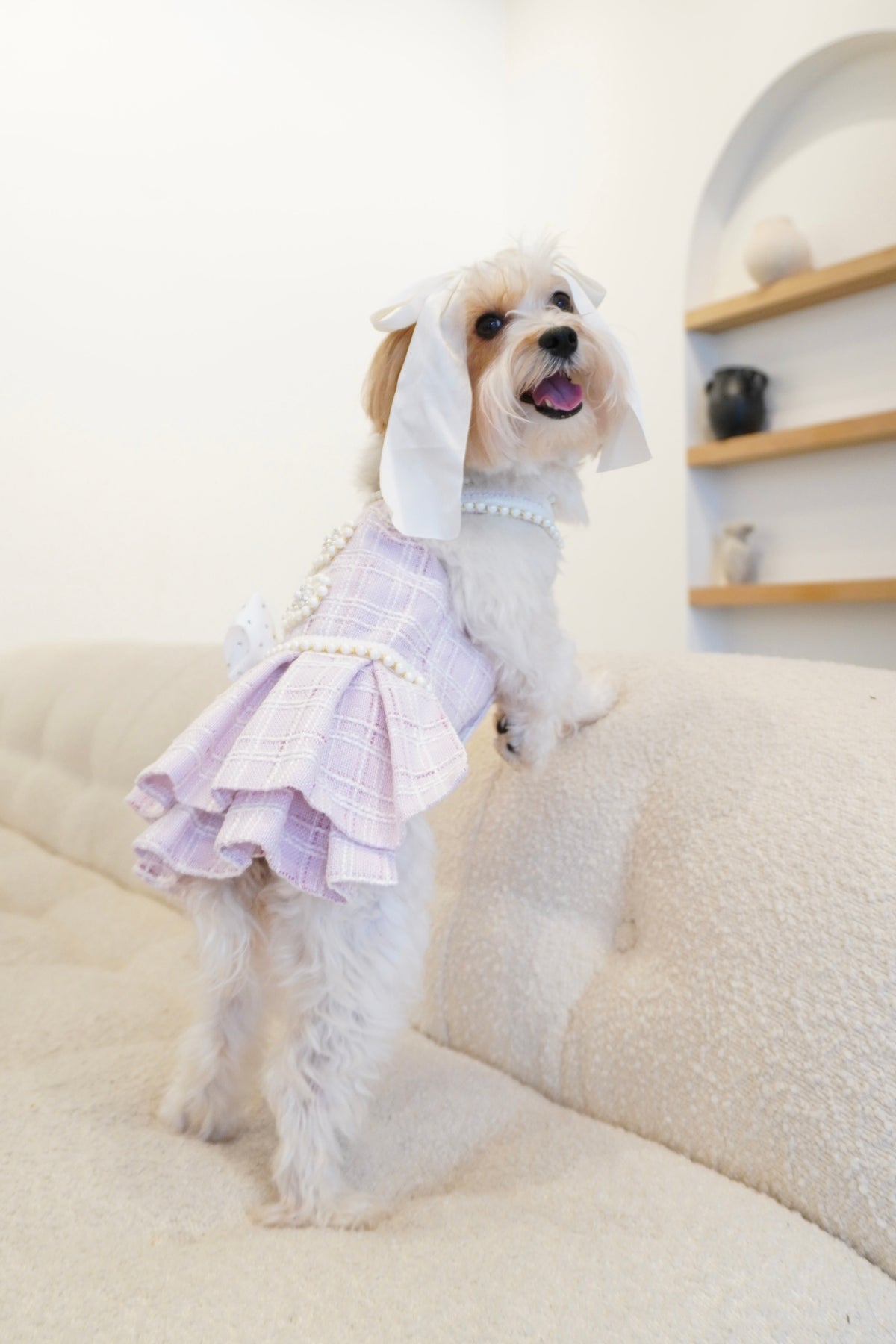 Spring Fling Queen Dress  Lilac Tweed Dog Dress
