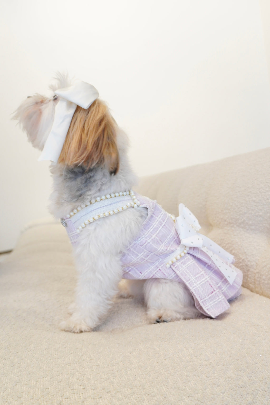 Spring Fling Queen Dress  Lilac Tweed Dog Dress