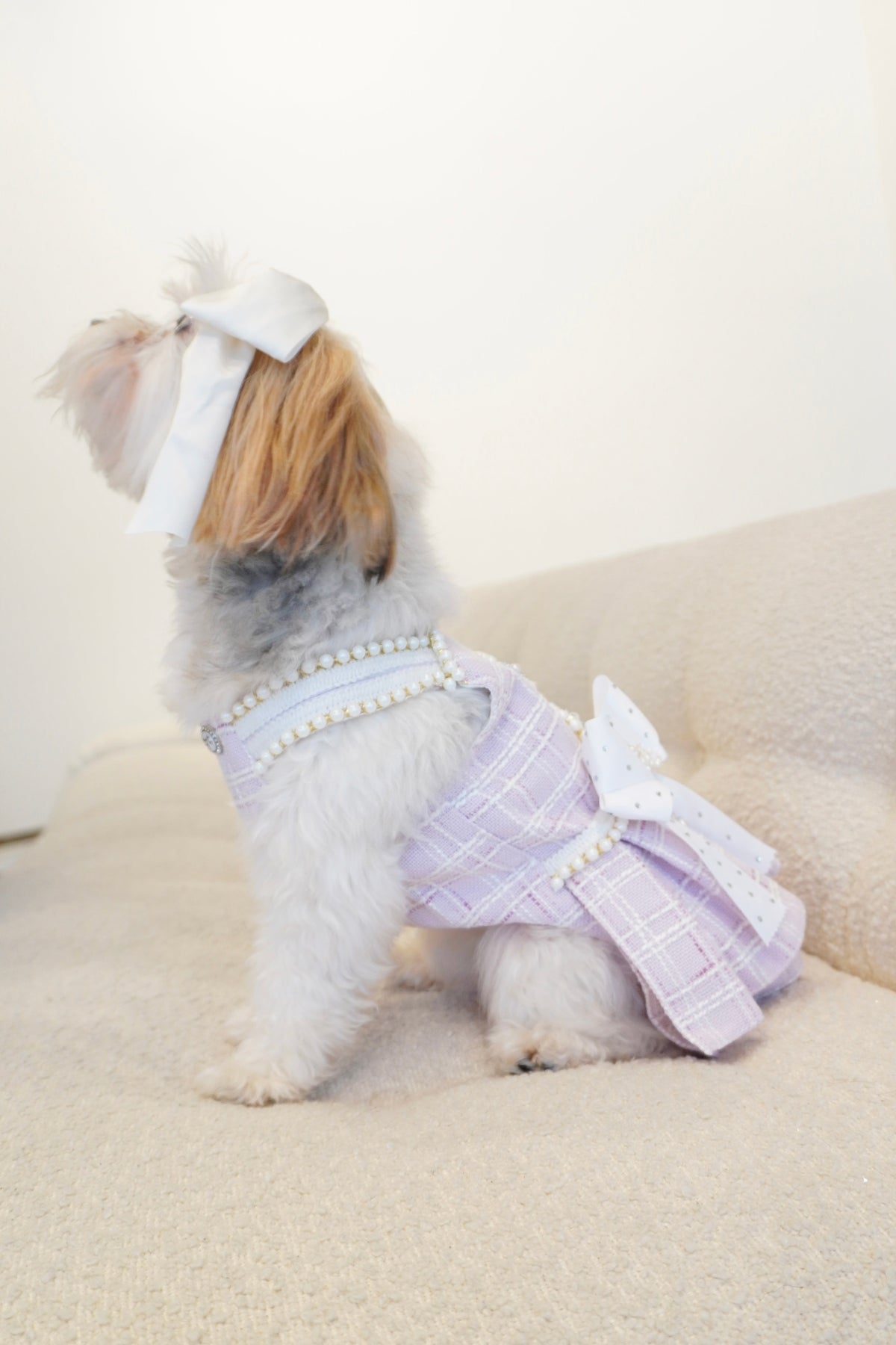 Spring Fling Queen Dress  Lilac Tweed Dog Dress