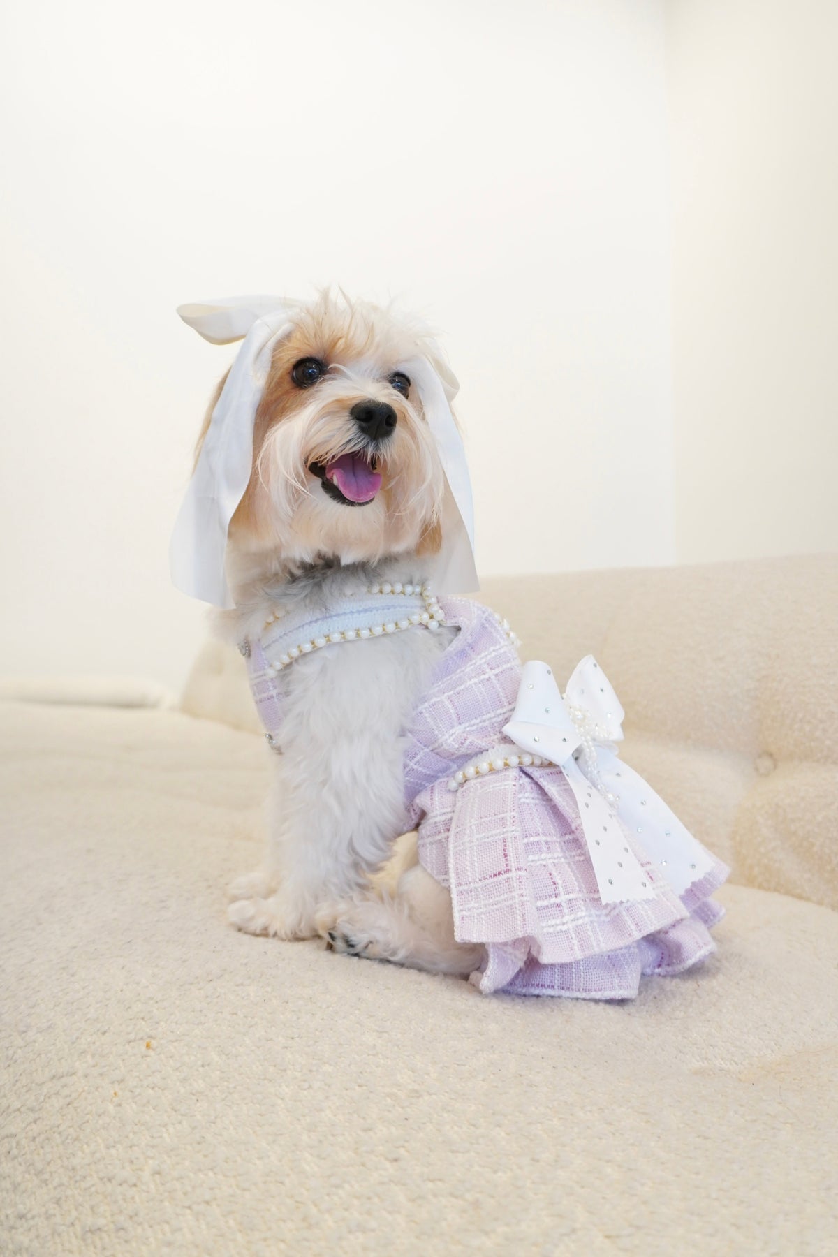 Spring Fling Queen Dress  Lilac Tweed Dog Dress