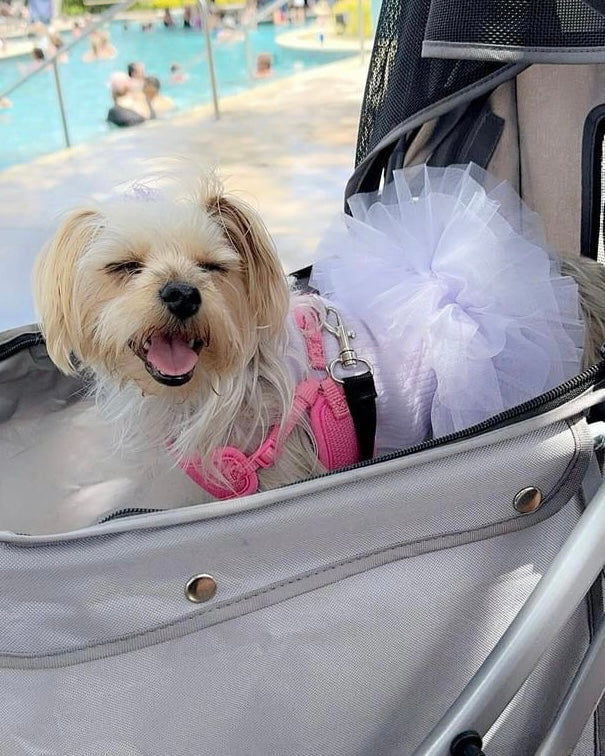 The Pixie Dress Tutu Dog Dress