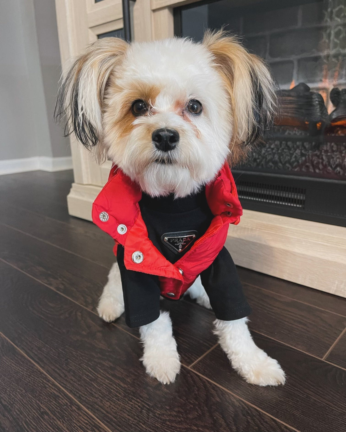 Pa Puffer Vest jacket
