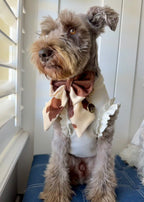 Stylish Frill Dog Top