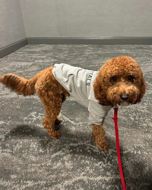 Fearless of Dog Hoodies
