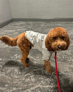 Fearless of Dog Hoodies