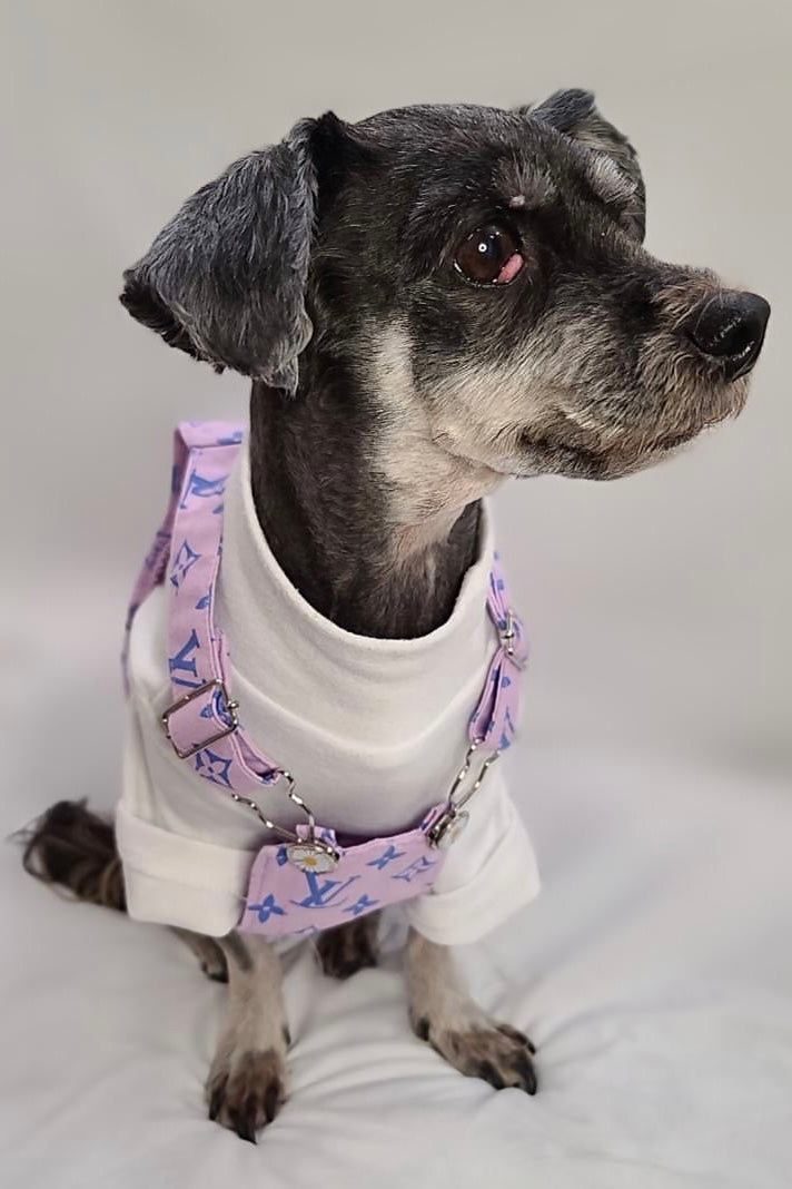 The Basics Soft Stretchy Everyday Dog Top