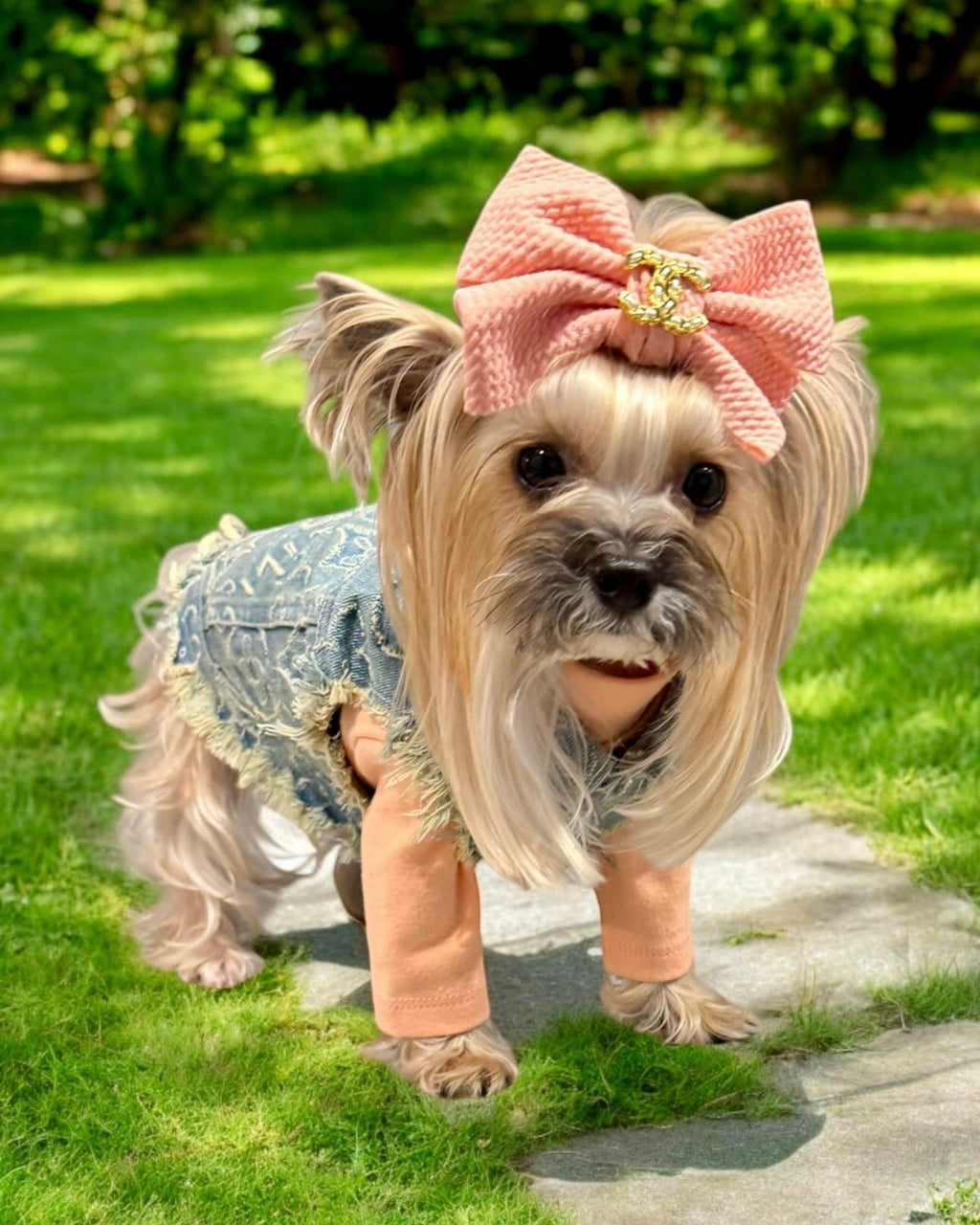 The Basics Stretchy Everyday Dog Essential Top
