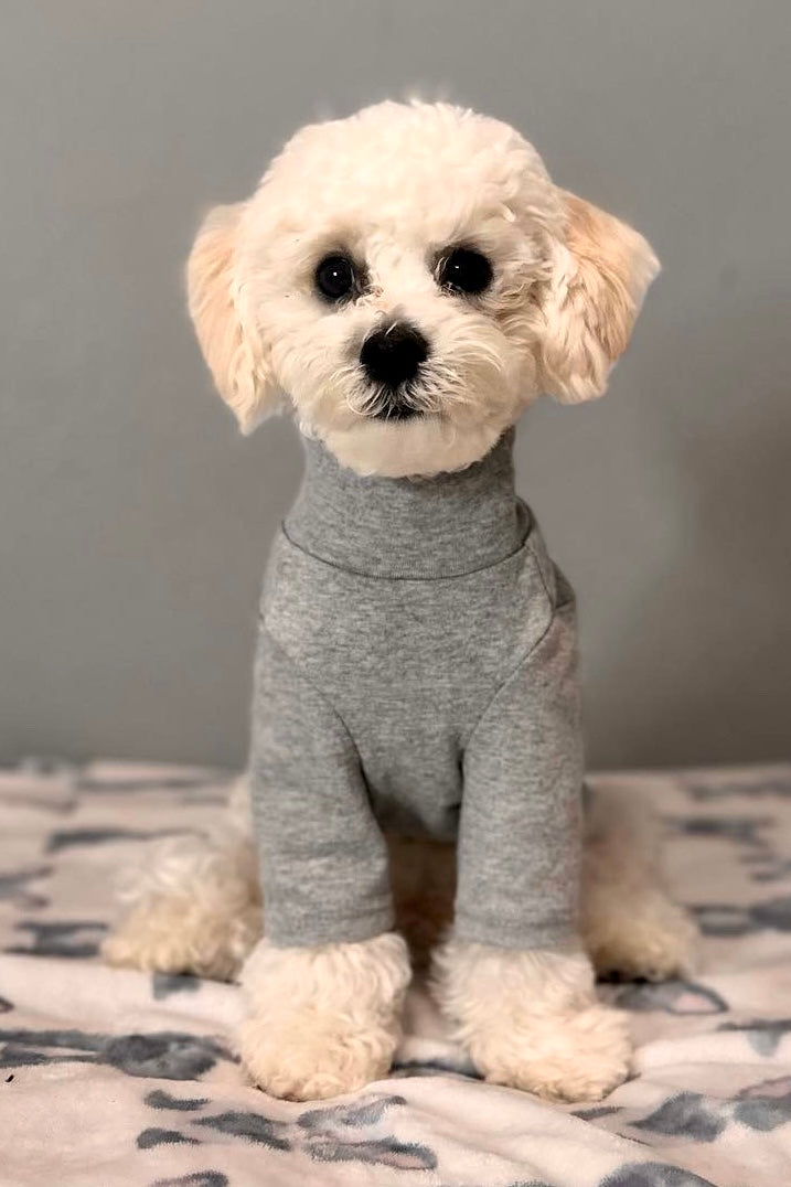 The Basics Soft Stretchy Everyday Dog Top