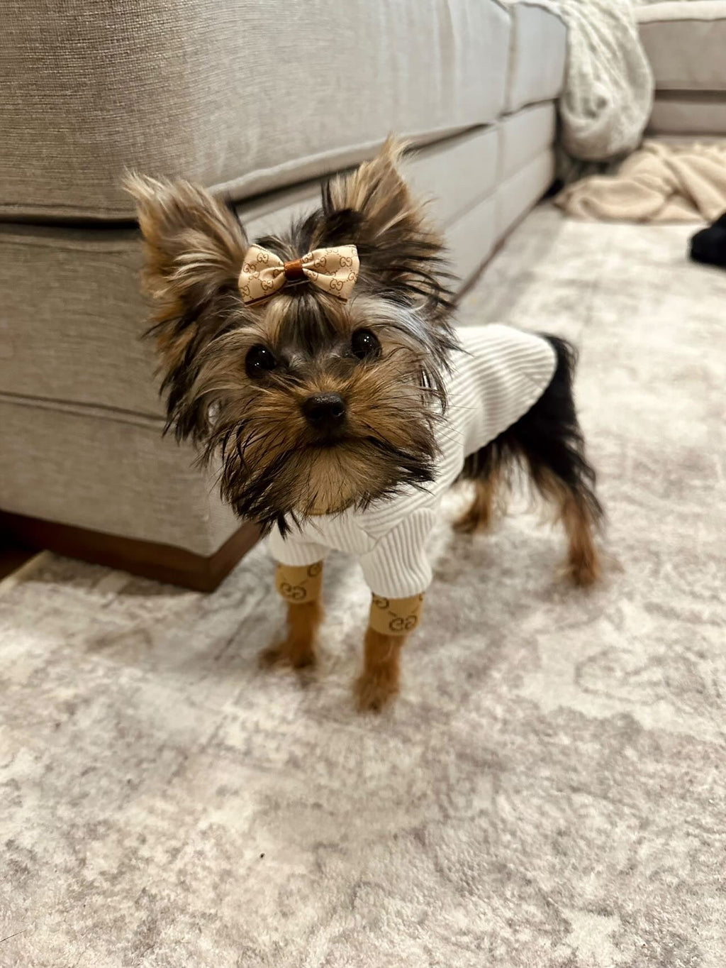 Lu GC Turtle Neck Top