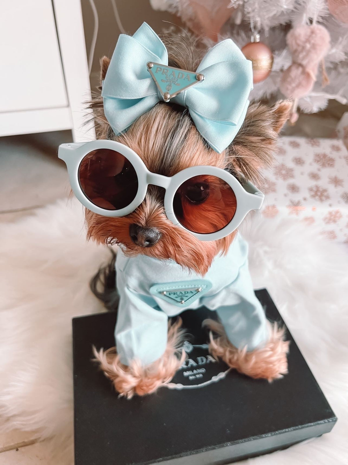 Pa Lu Bow Hair Accessories