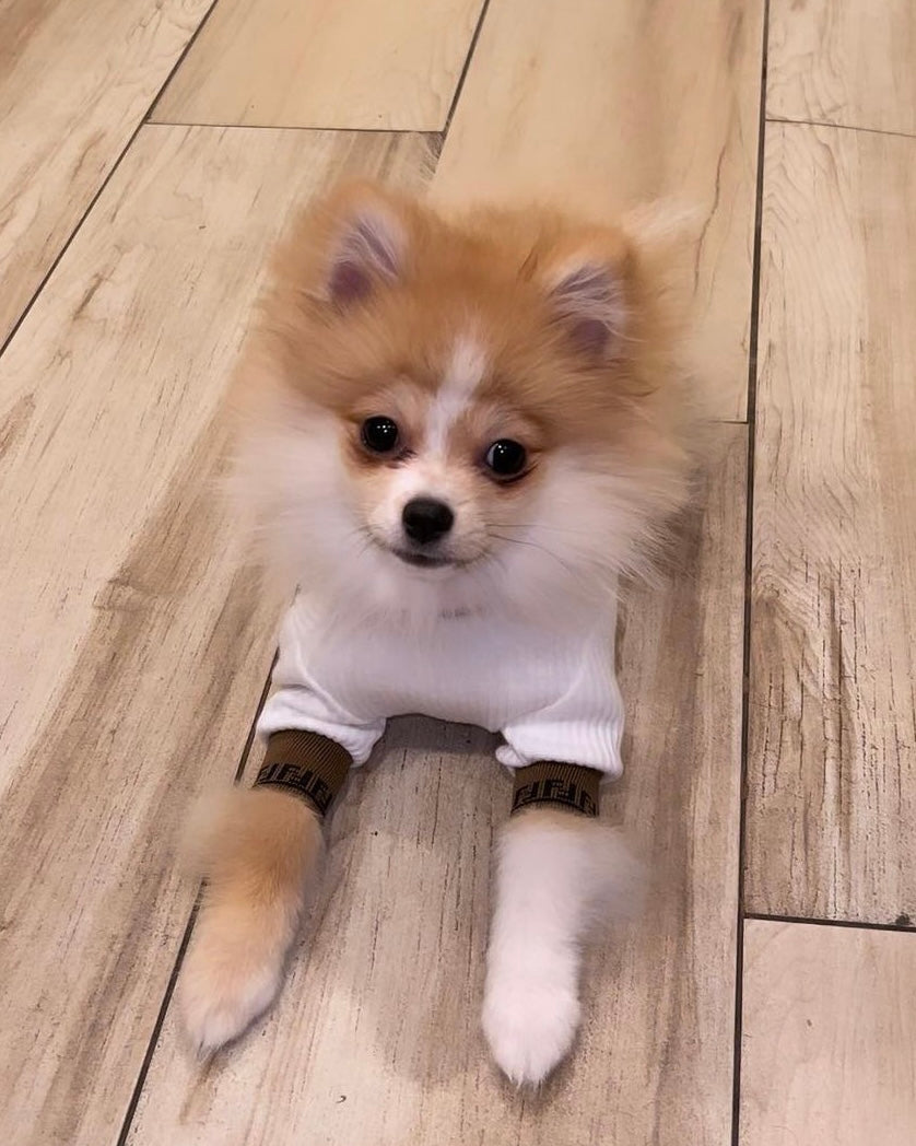 Lu Fetchi Tu Neck Top