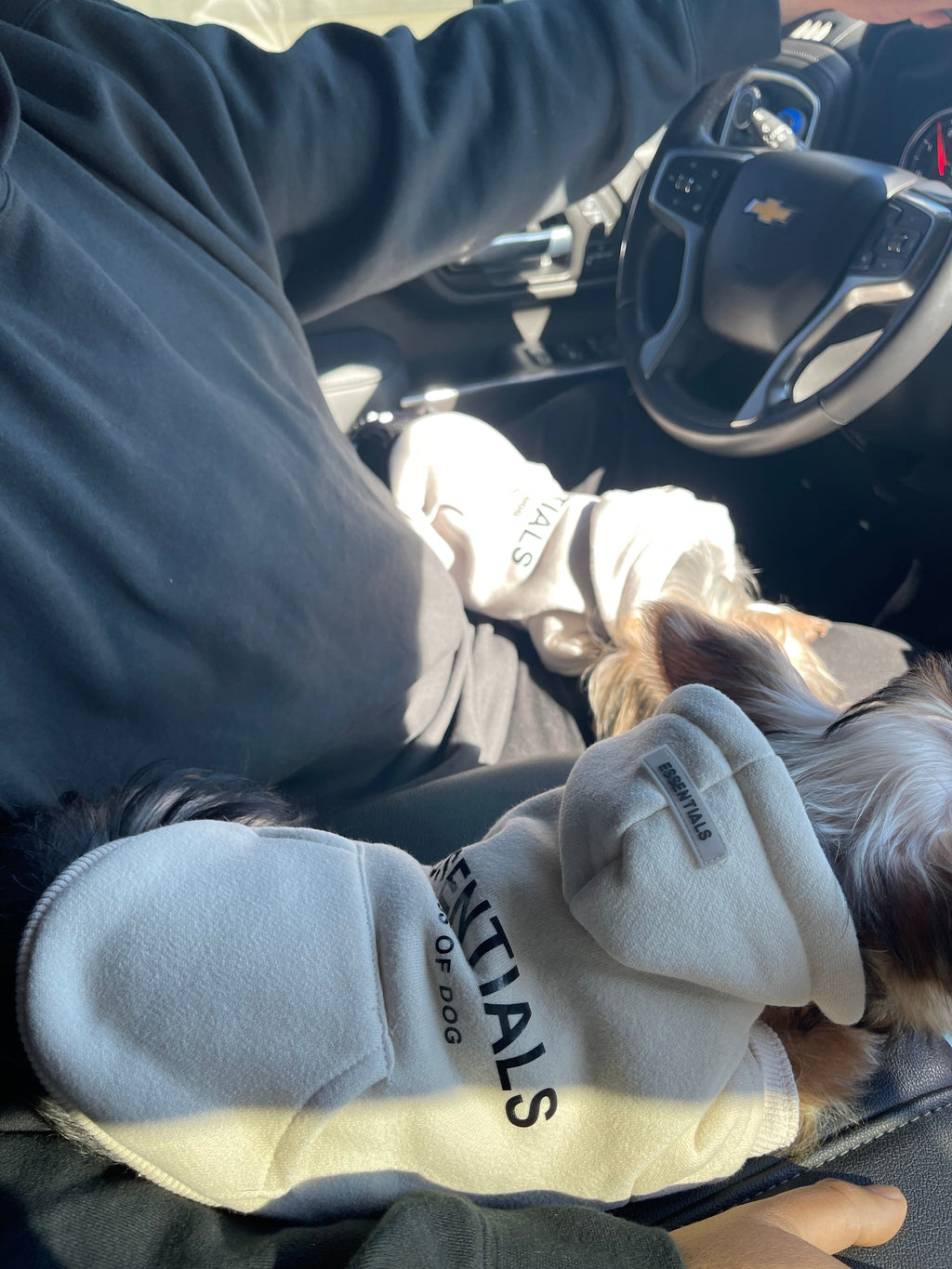 Fearless of Dog Hoodies