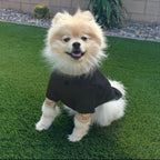 Lu GC Turtle Neck Top