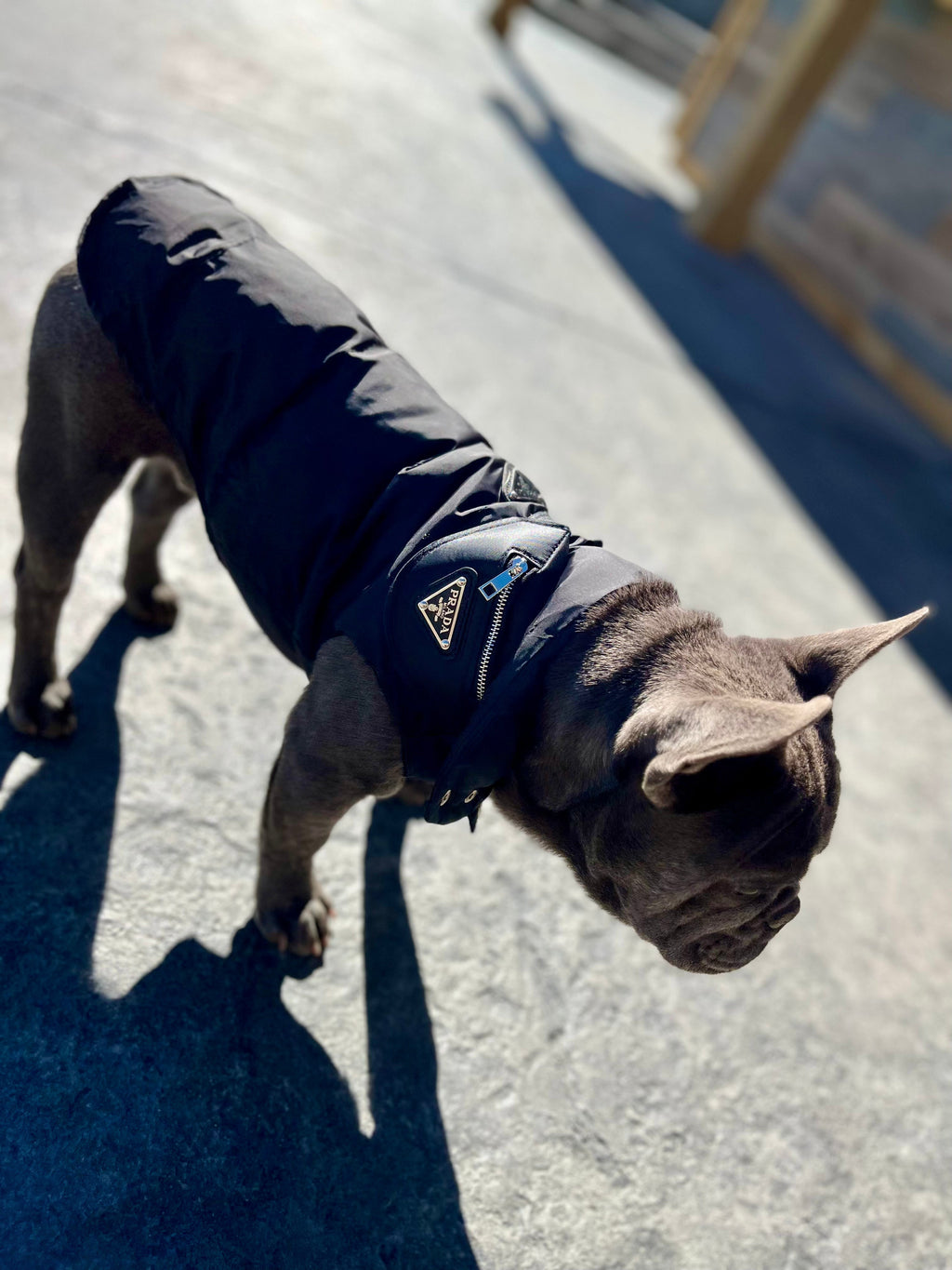 Pa Puffer Vest jacket