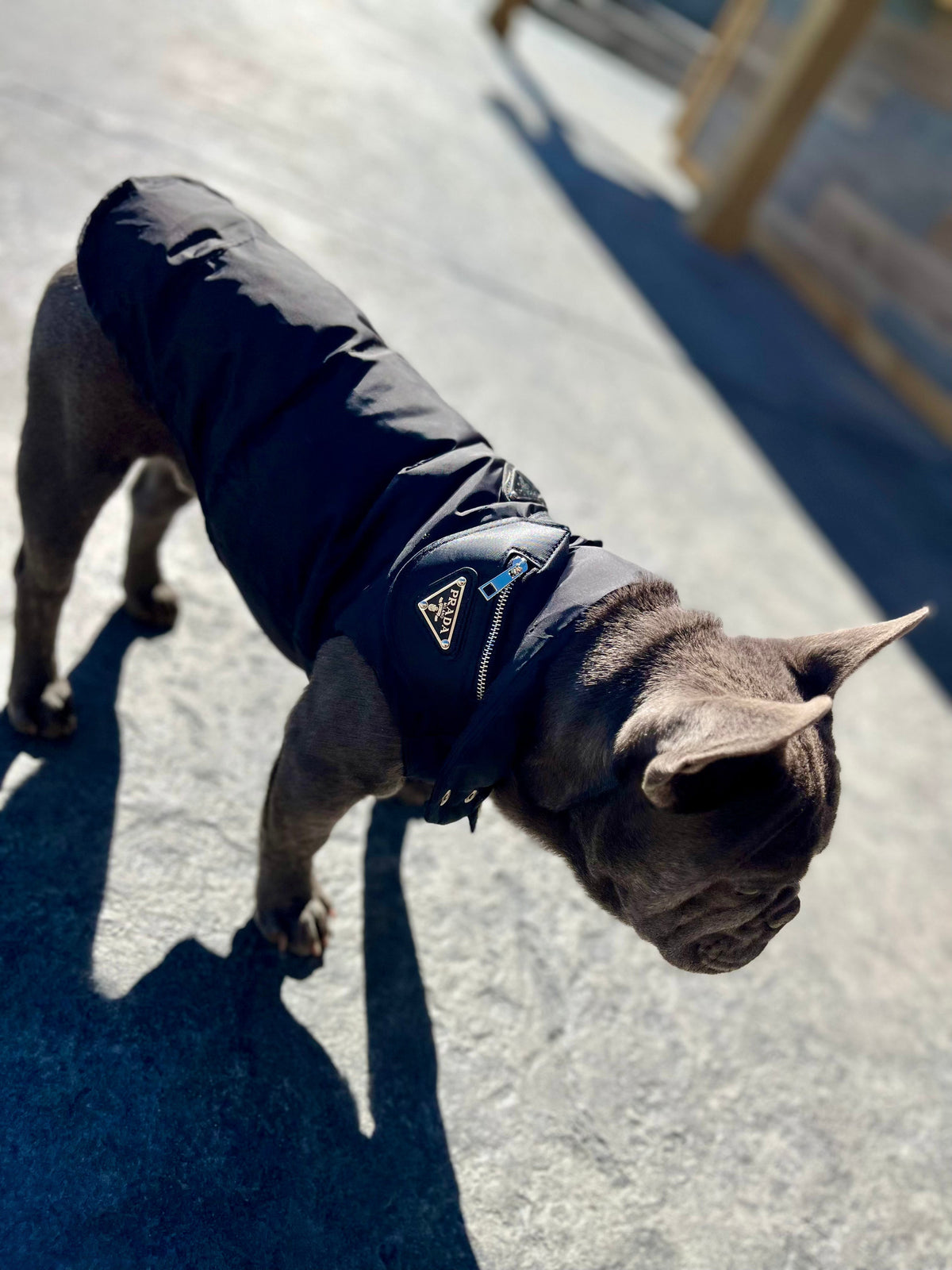 Pa Puffer Vest jacket