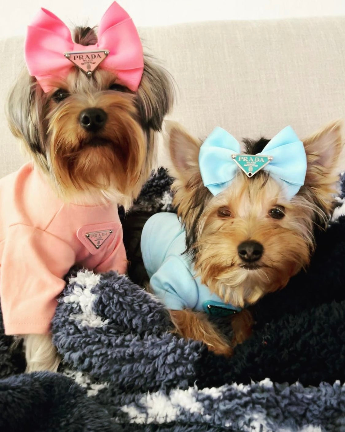 Pa Lu Bow Hair Accessories