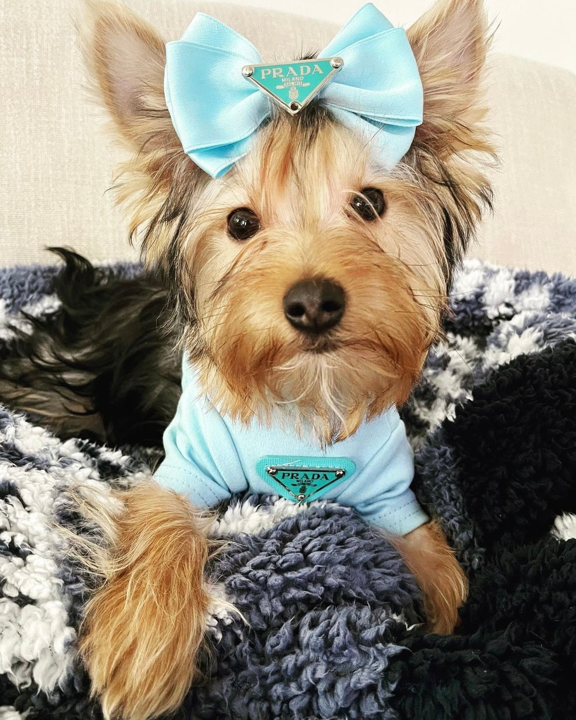 Pa Lu Bow Hair Accessories