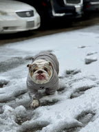Fearless of Dog Hoodies