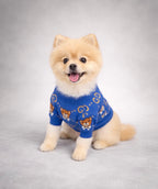 Gc Teddy Sweater