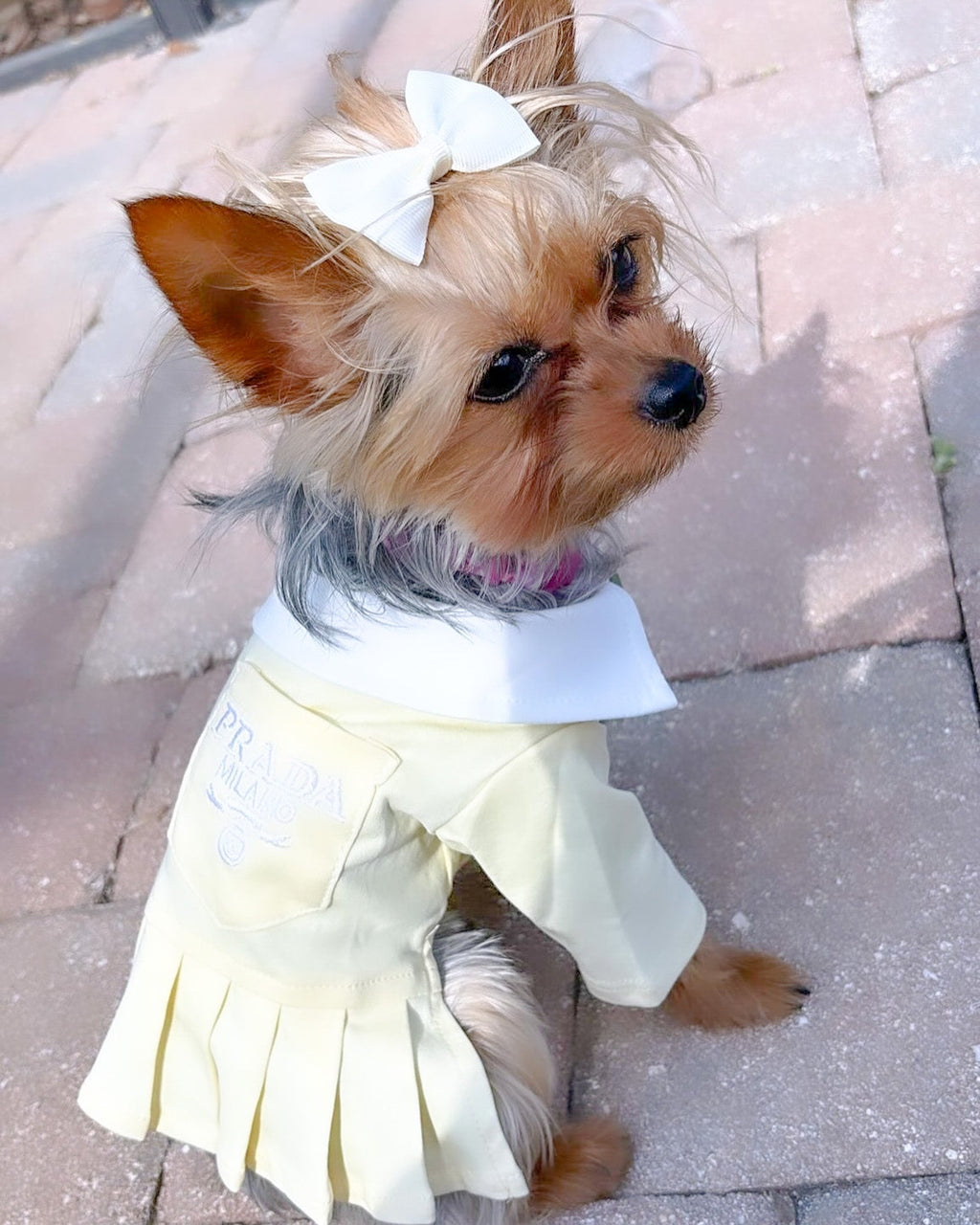Preppy P Dress