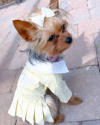 Preppy P Dress