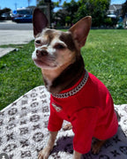 Pa Lu Turtle Neck Top