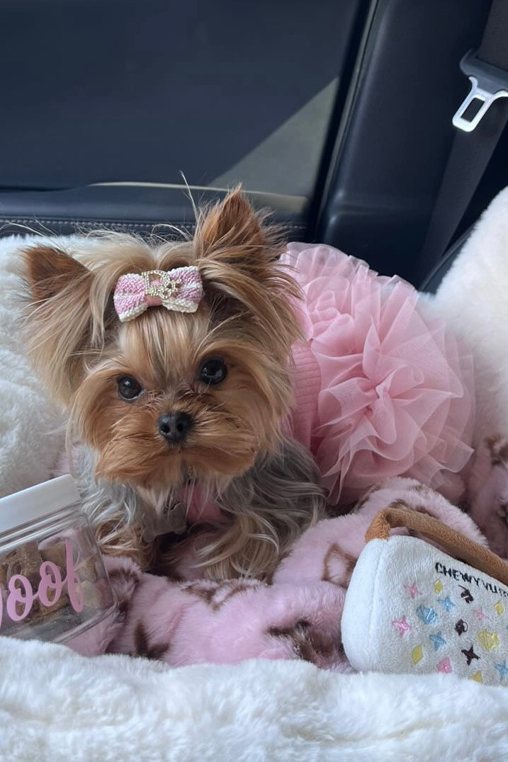 The Pixie Dress Tutu Dog Dress