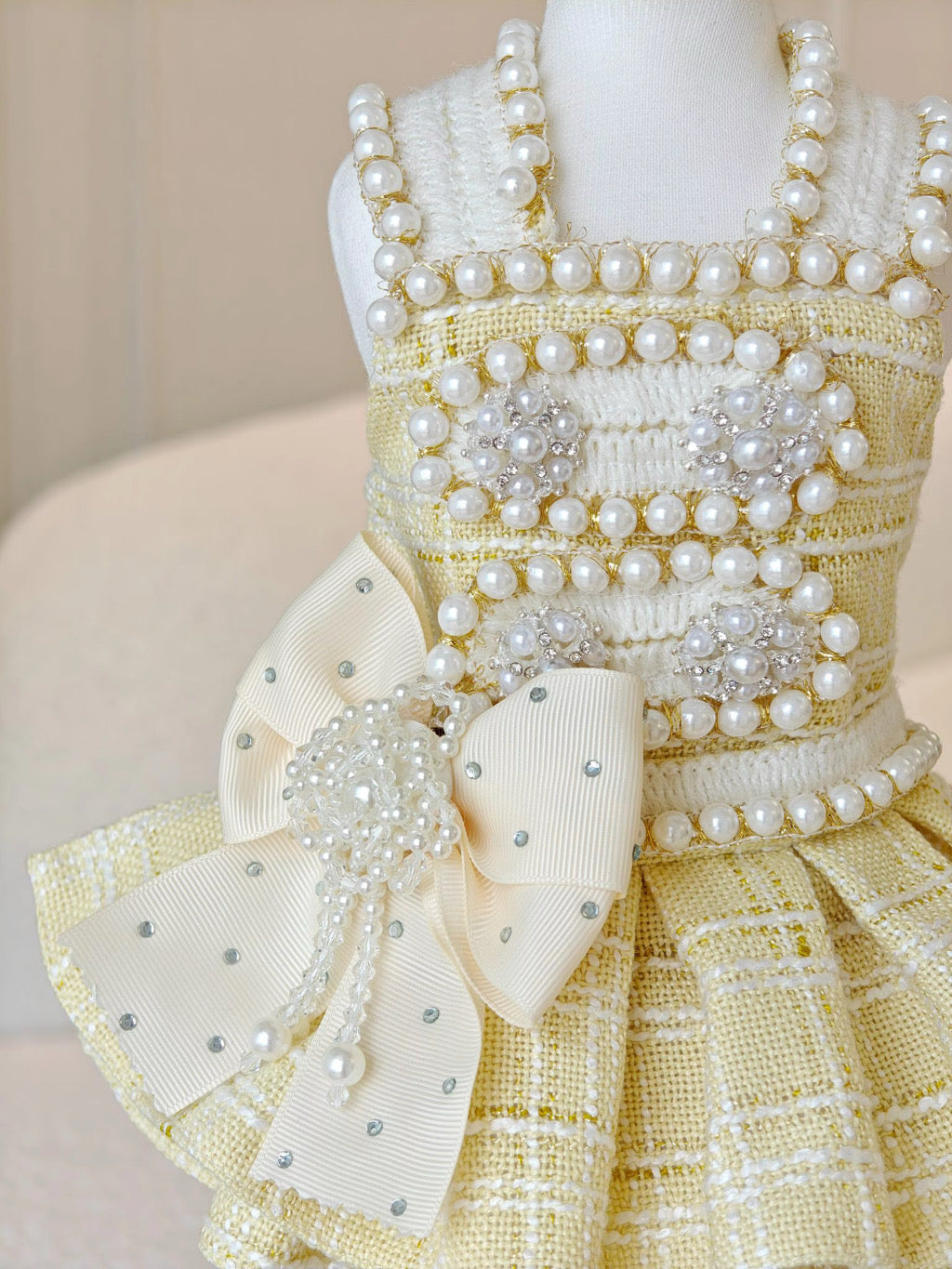 Spring Fling Queen Dress Tweed Dog Dress