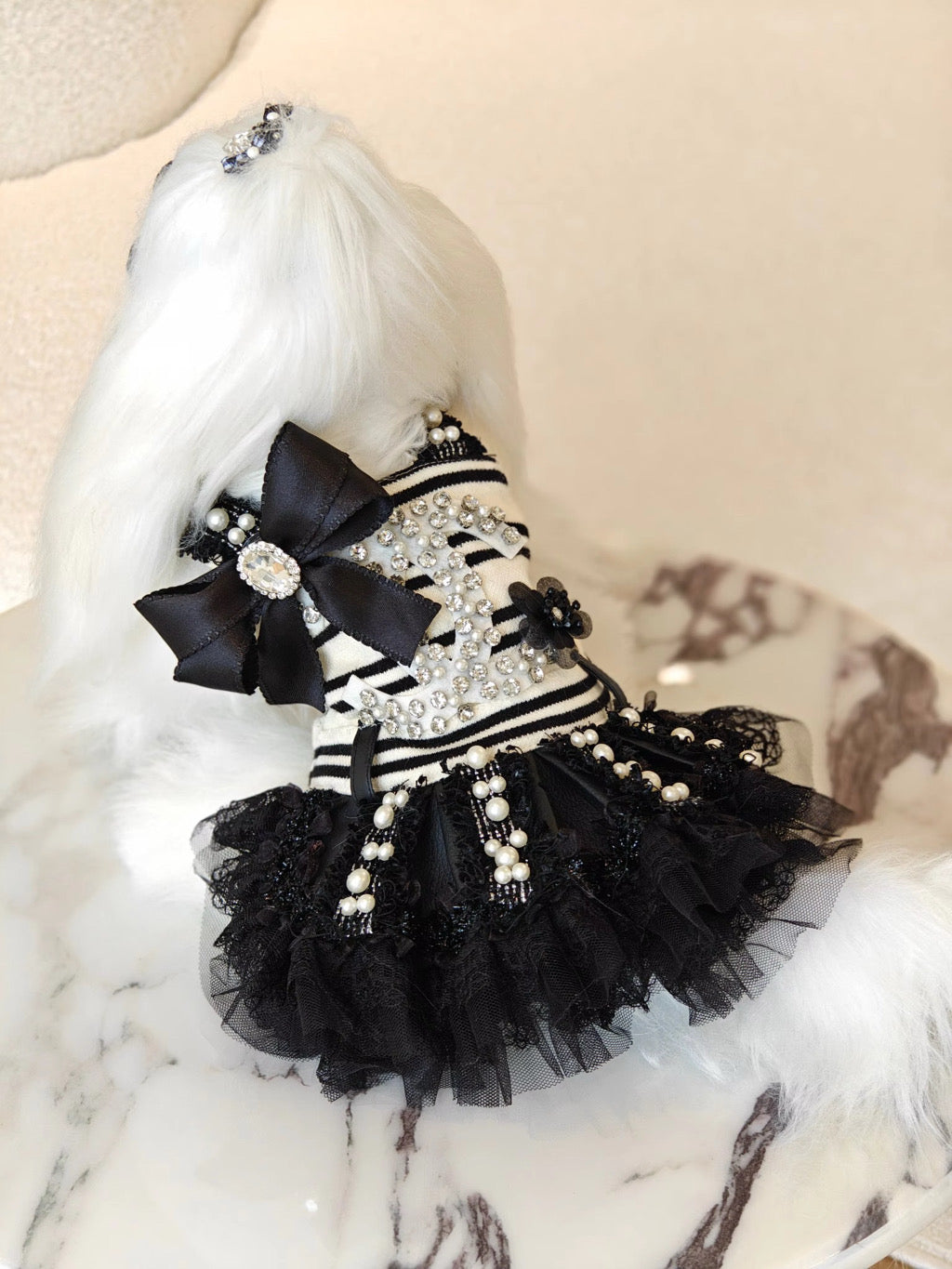 Black Sparkle  Shine Dress