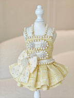 Spring Fling Queen Dress Tweed Dog Dress