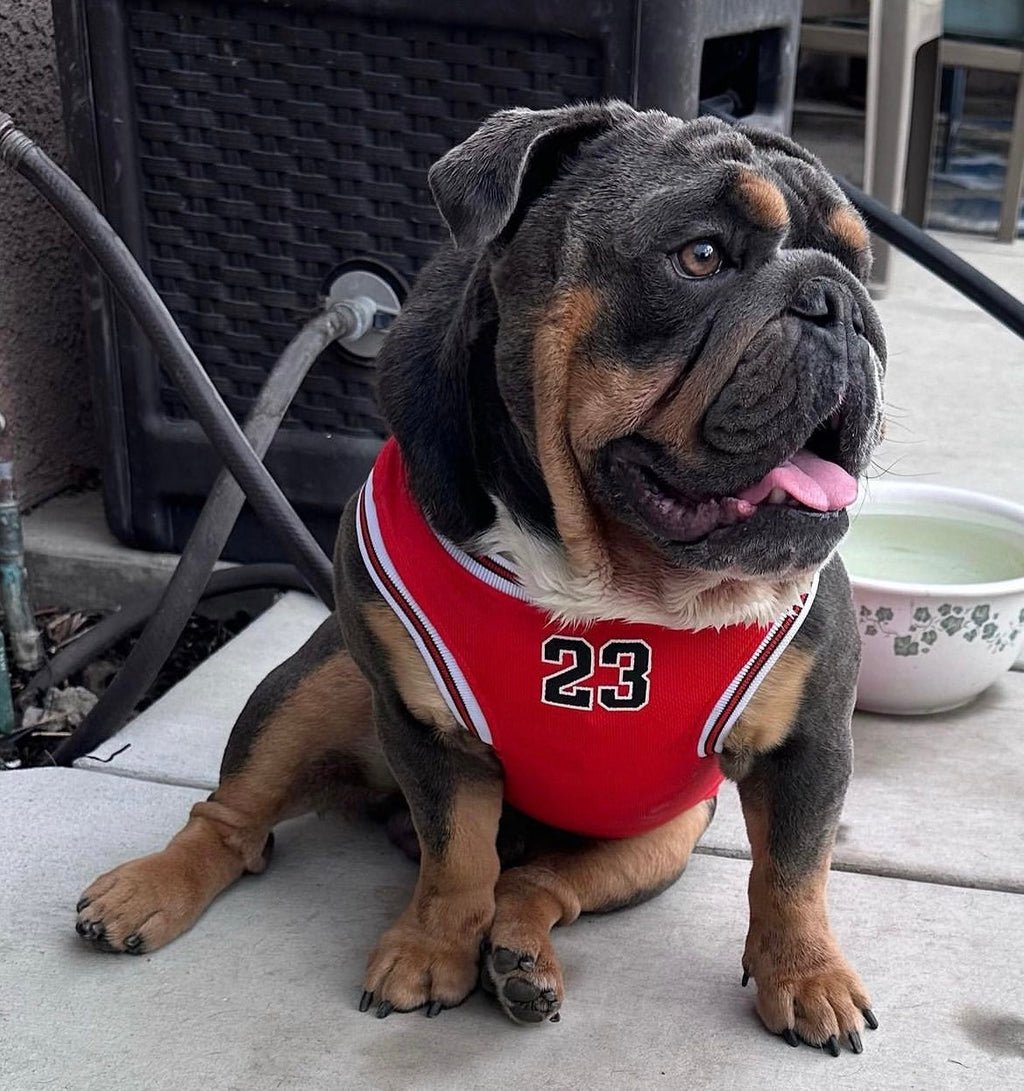 Game Time Jersey Top