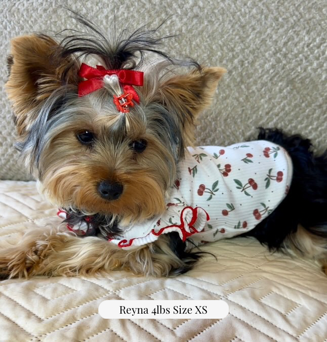 Sweet Cherry Ruffle Tee