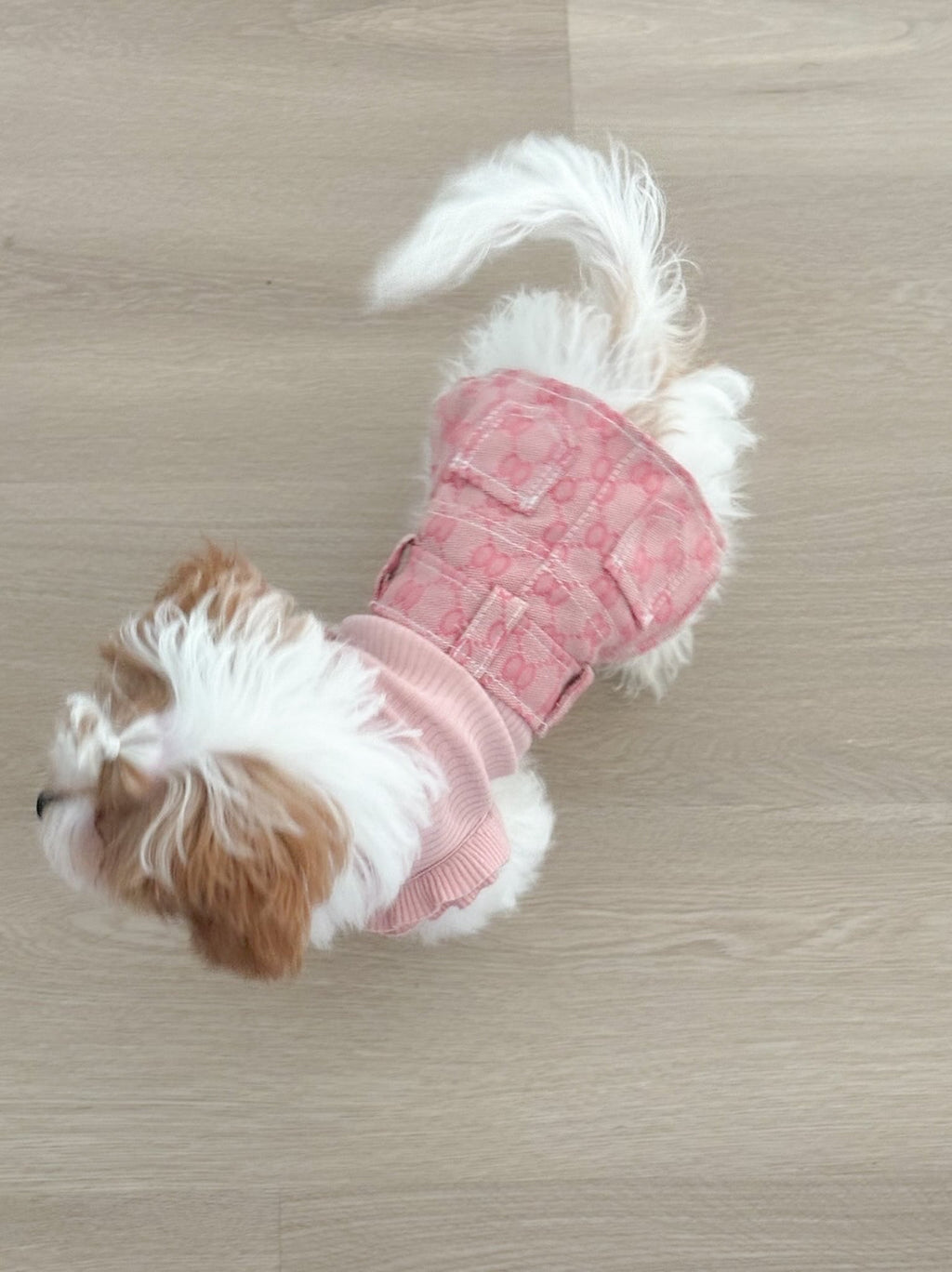 Stylish Frill Dog Top