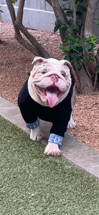 Lux Do Turtle Neck Top