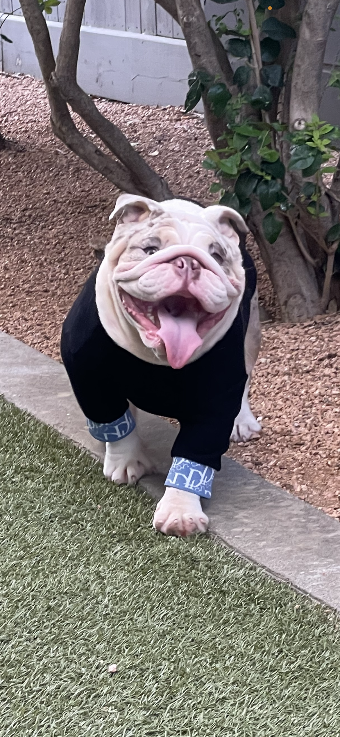 Lux Do Turtle Neck Top