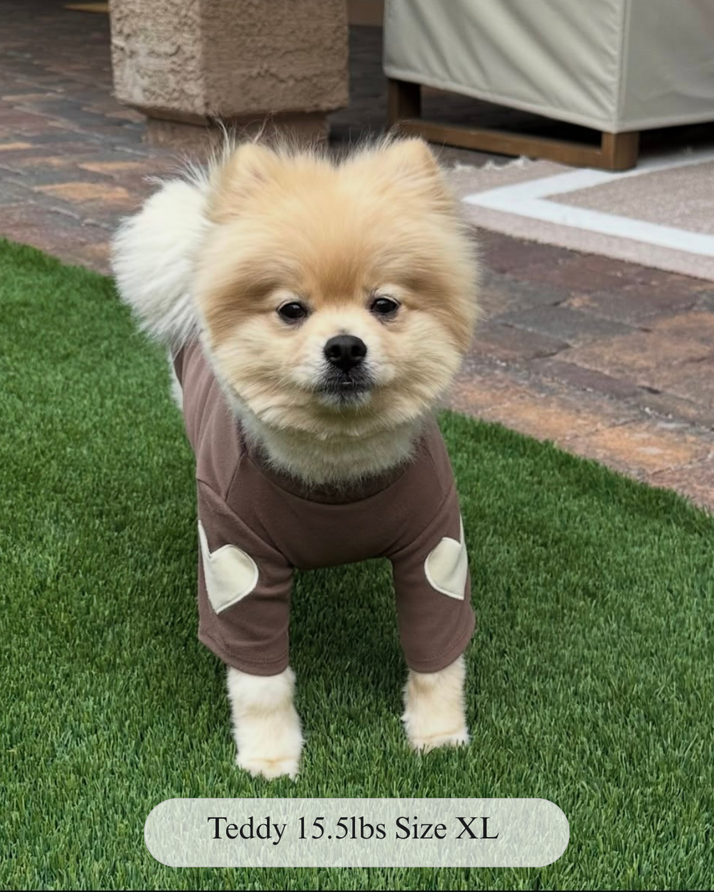 Cozy Hearts Turtle Neck Dog Top