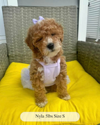 The Pixie Dress Tutu Dog Dress