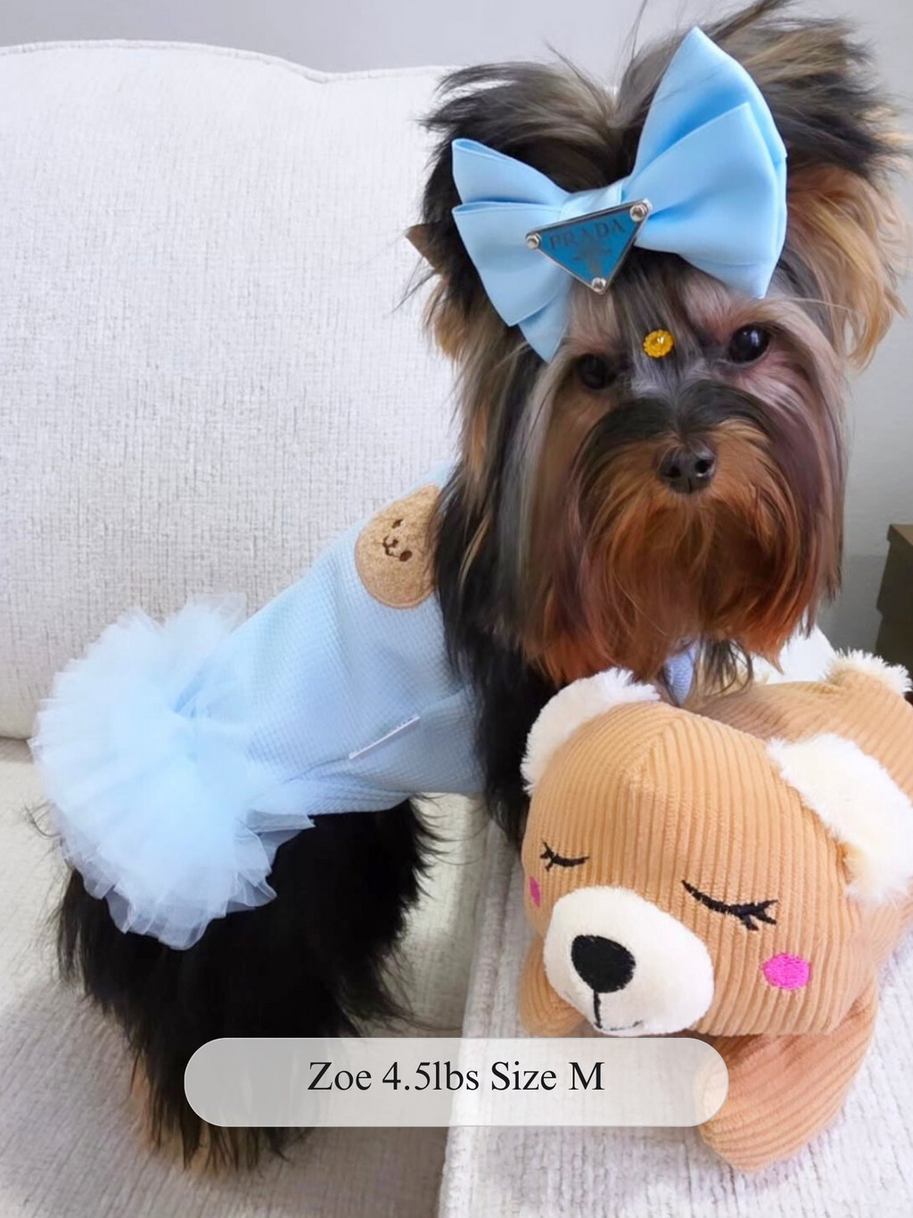 Cuddles Tulle Dress