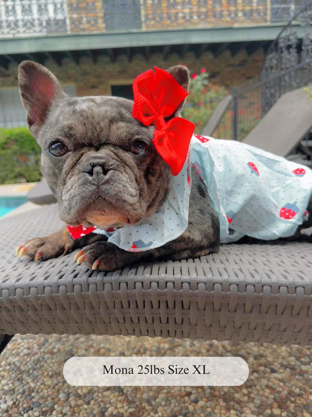 Polka Pup Dress Print Dog Dress with Ruffle Sleeves