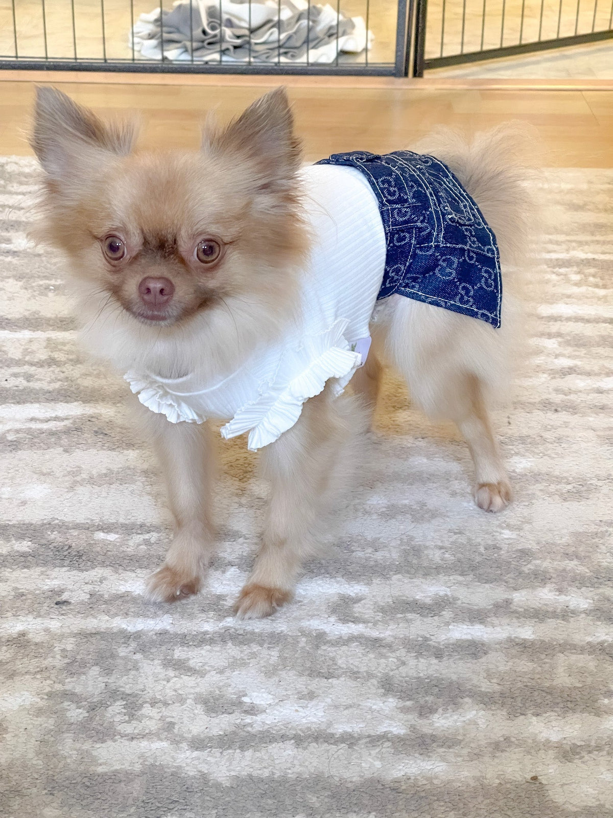 Gc Mini Skirt