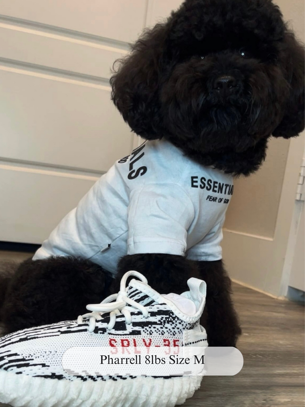 Fear of Dog Tee