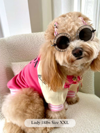 Pawda Varsity Jacket