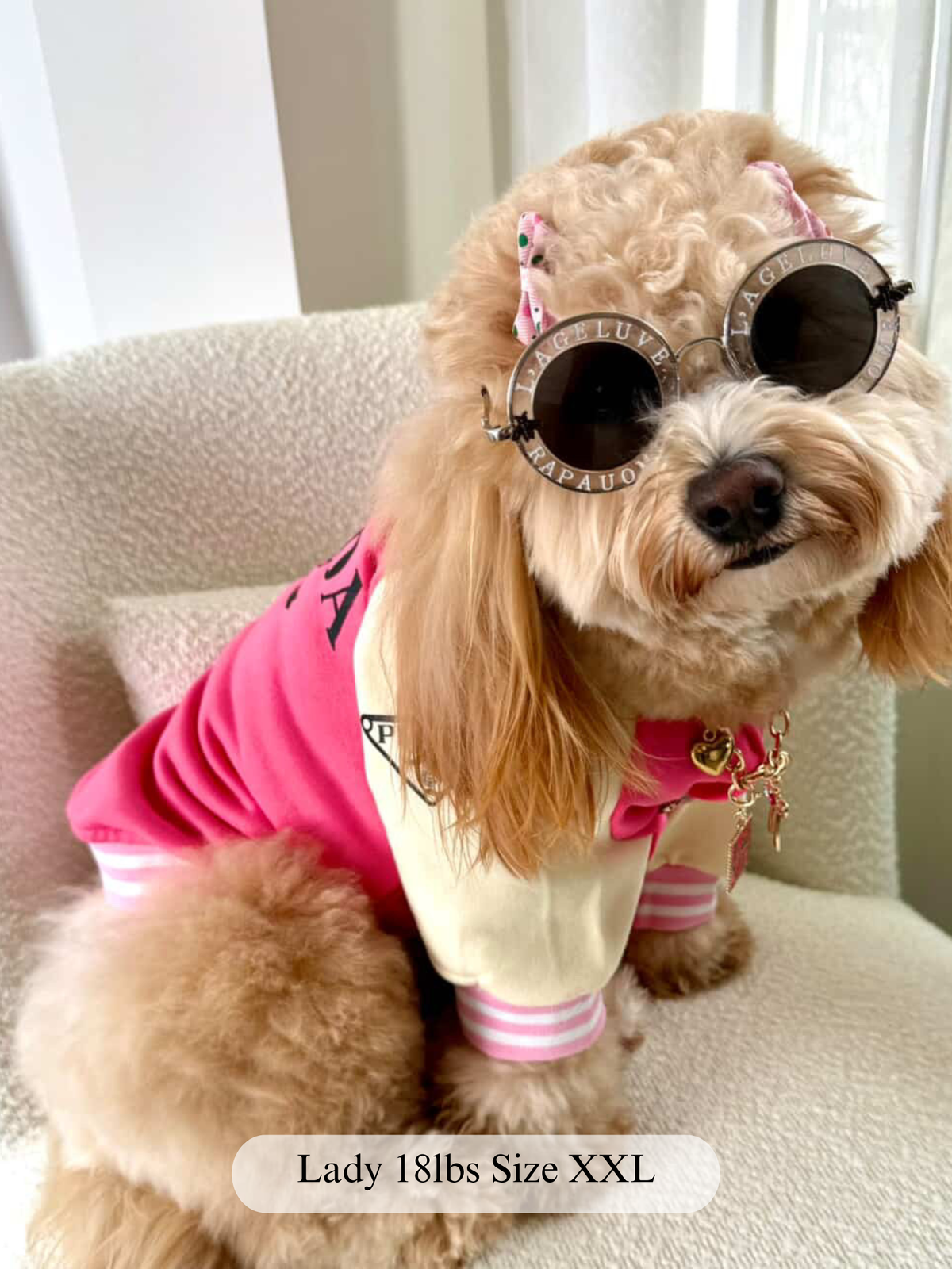 Pawda Varsity Jacket