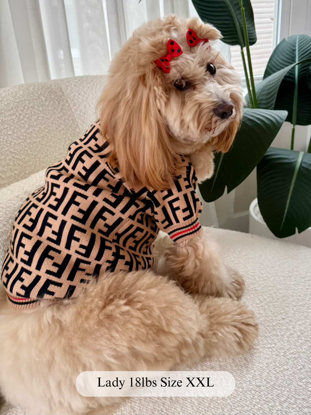 Lux Fetchi Knit Cardigan  Sweater