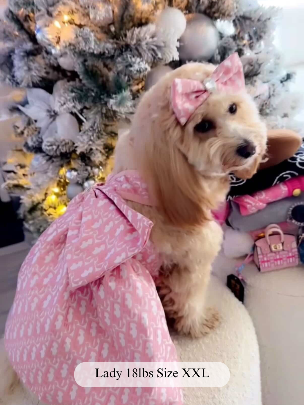 Belle Amour Dress with Bow Gem