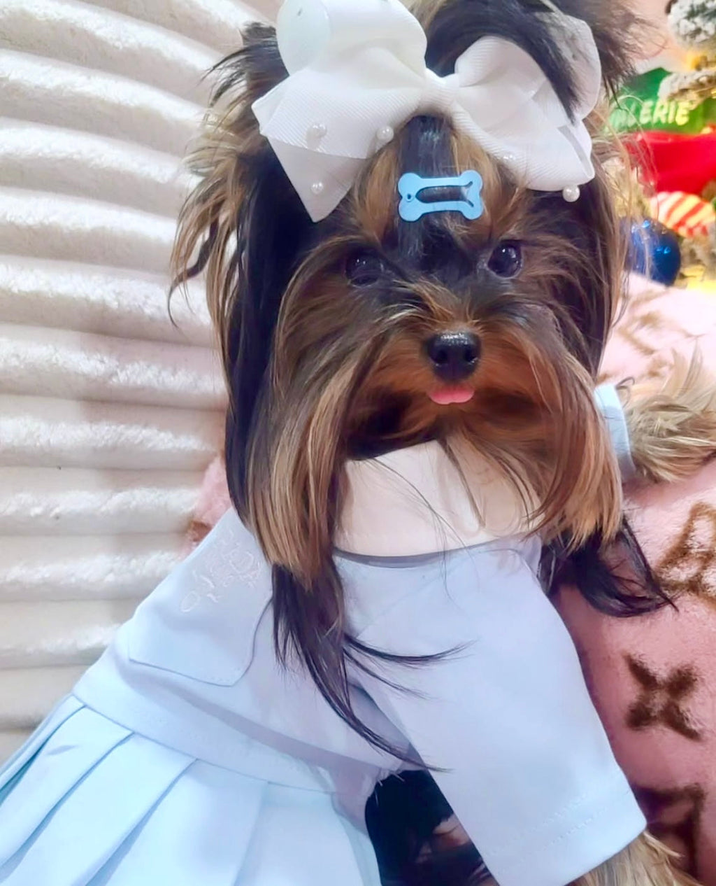 Preppy P Dress