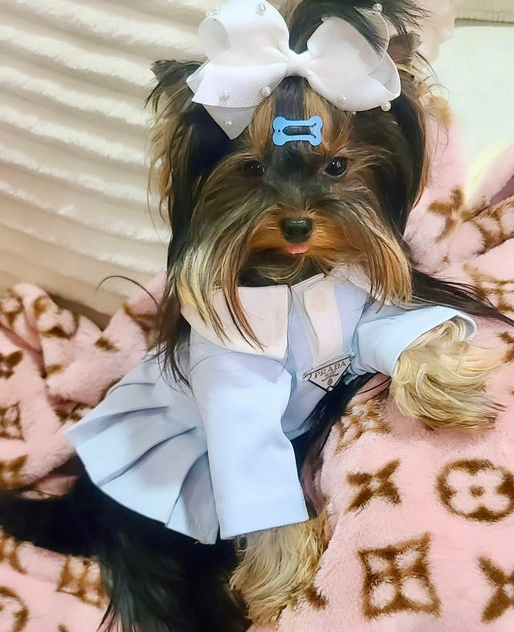 Preppy P Dress