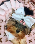 Preppy P Dress