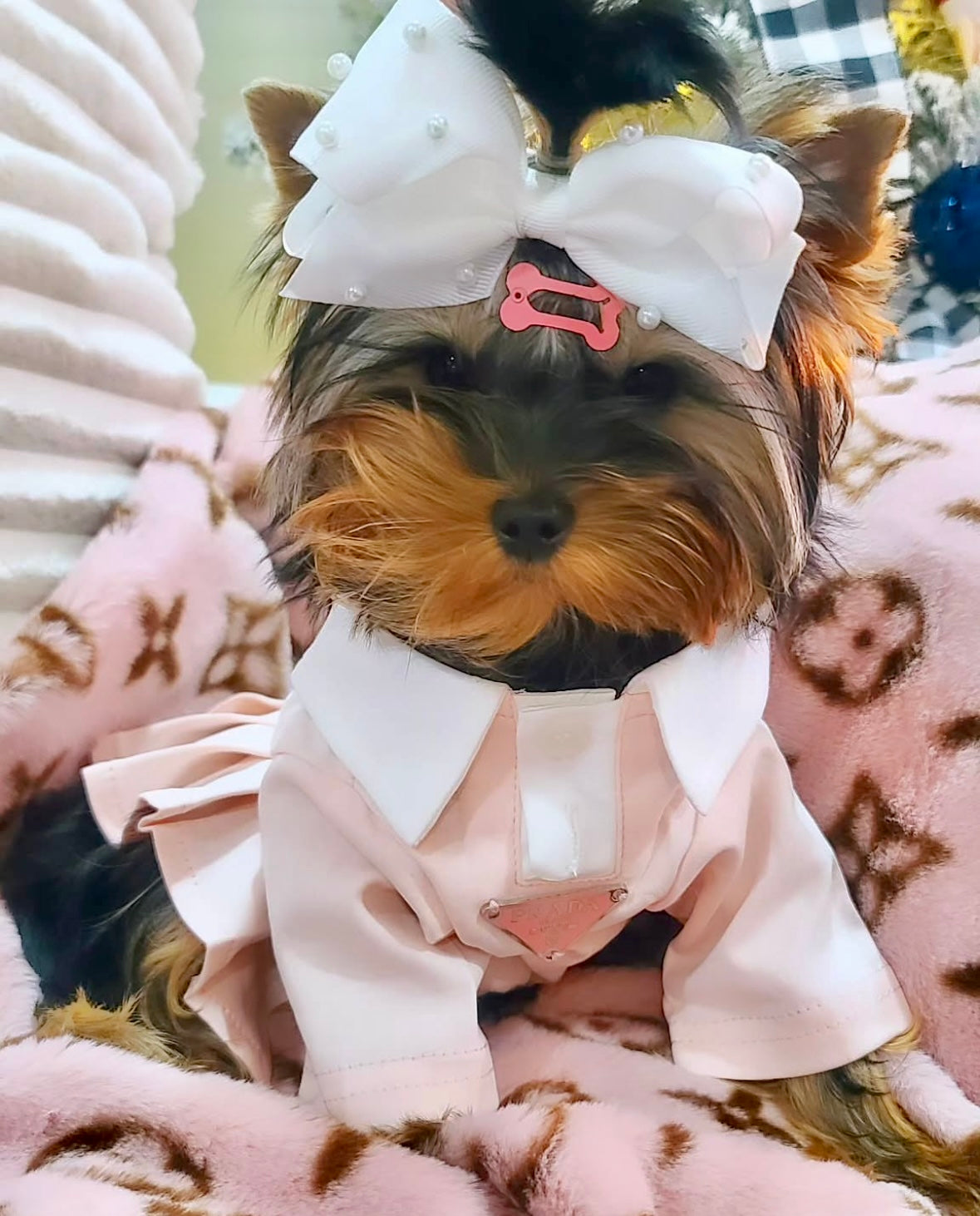 Preppy P Dress