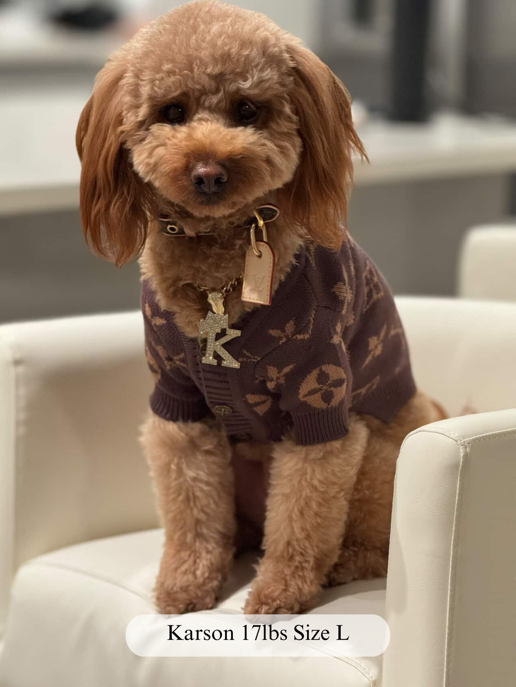 Cocoa Luxe Knit Cardigan Sweater